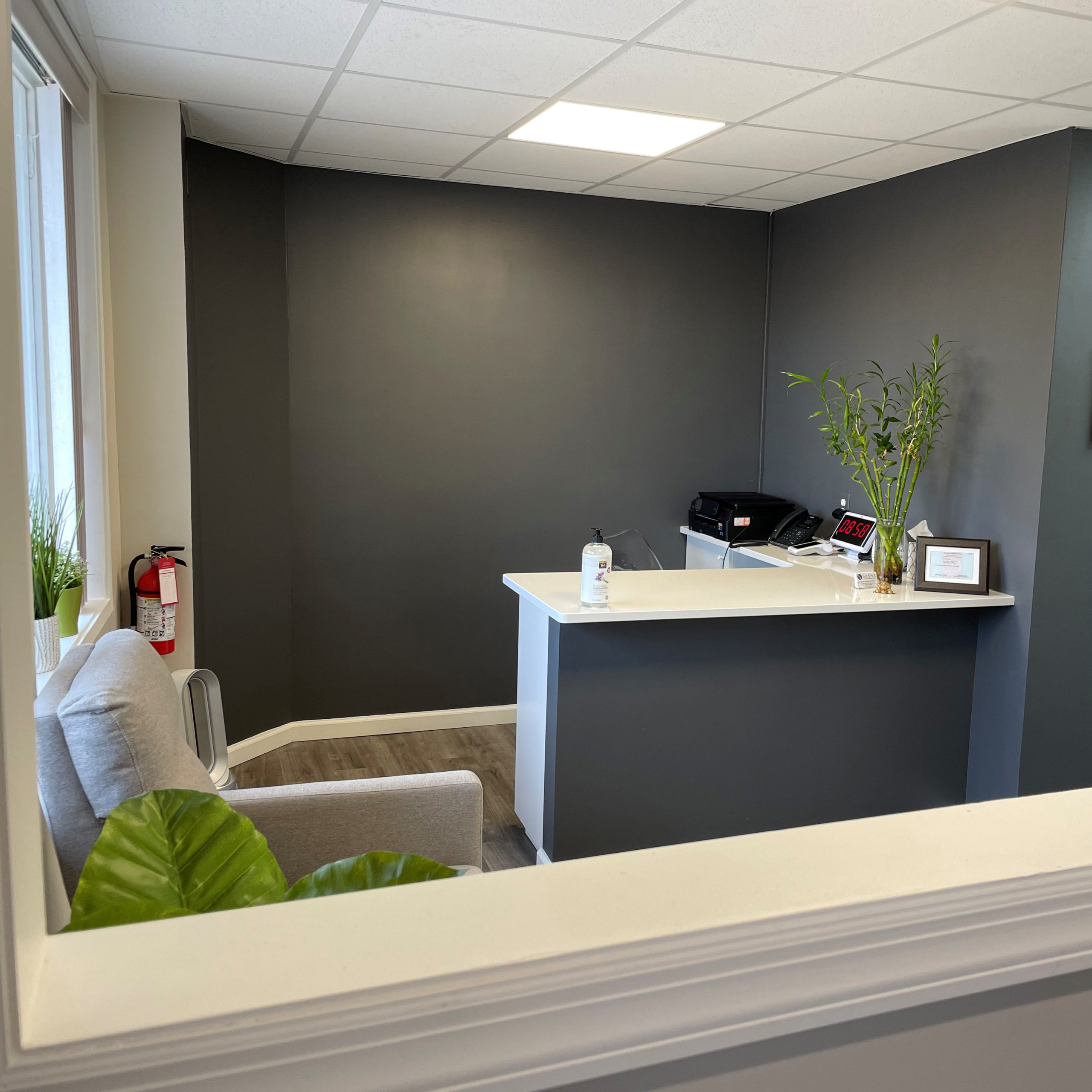 Sasha Acupuncture Office
